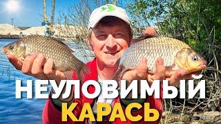  ХИТРЫЙ КАРАСЬ ️ Рыбалка в Киеве  Клев карася прошел… Рыбалка 2024