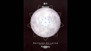 Susumu Hirasawa - SWITCHED-ON LOTUS (LYRICS)