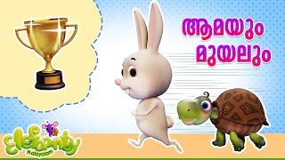 ആമയും മുയലും l Aamayum Muyalum -Tortoise & Rabbit | Malayalam Animation video l Elefaanty Malayalam