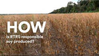 RTRS Chain of Answer Series | Chapter 2: HOW is responsible soy produced?