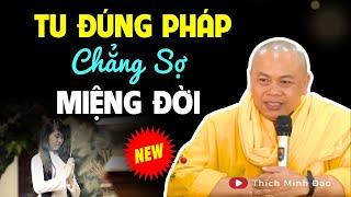 Phật Dạy Người Tu Đúng Pháp Thì "CHẲNG SỢ MIỆNG ĐỜI" - Thầy Thích Minh Đạo