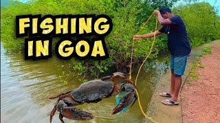 Fishing in Goa | Crabs fishing in goa | Rainy season crabs fishing in goa | Goa fishing videos