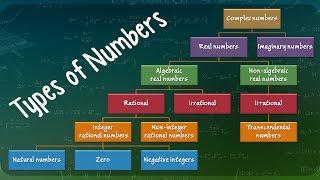 Types of Numbers