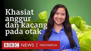 Makanan sehat: Dampak makanan untuk meningkatkan fungsi otak dan daya ingat manusia