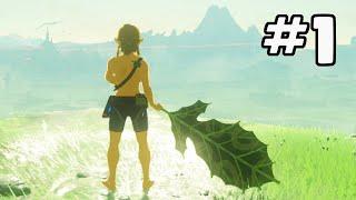 Beating Breath of the Wild with a Single Korok Leaf (Part 1) | PointCrow VOD