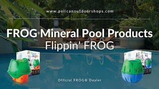 FROG® Flippin' Frog & Flippin' Frog XL Pool Care