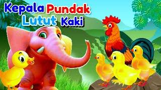 Lagu Anak  Kepala Pundak Lutut Kaki !! Animasi Ayam Bebek Gajah Dan Kucing