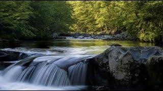 CALMING RIVER AND BIRDSONG: SOOTHING SOUNDS FOR RELAXATION