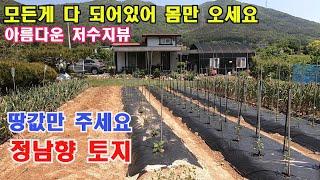 (111)땅값만주세요.모두드립니다.바로쓰시면됩니다#밀양토지매매#밀양전원주택지매매#밀양부동산매매