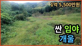 [NO. 41] 국유림으로 둘러싸인 천연요새 임야. 임도상태의 개울있는 임야매매 입니다.