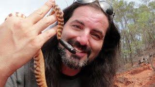 FINDING A BLACK-HEADED PYTHON! ADVENTURES IN AUSTRALIA, Day 7 - Dāv Kaufman Vlogs