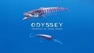 The Best Wahoo Fishing in the WORLD - Odyssey series Episode 5