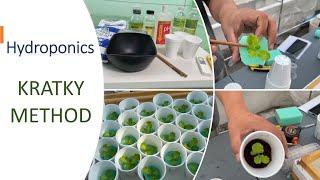 HYDROPONICS - KRATKY METHOD using Nutrihydro, SNAP Solution and Masterblend | Nars Adriano