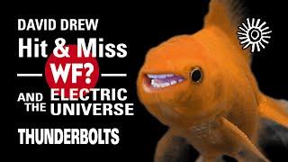David Drew: The Why Files (WF?) and the Electric Universe | Thunderbolts