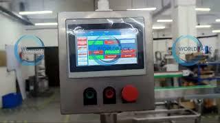 High-Performance Pen Labelling Machine by Worldpack Automation Systems