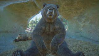 Planet Zoo: Grizzly Bear