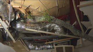 EF-0 tornado hits Woodstock area in Georgia