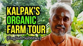 "Kalpak's Permaculture Farm". Learn Permaculture Practices, #organicfarming #permaculturelife #farm