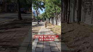 영상 찍을 때가 아니라구요!