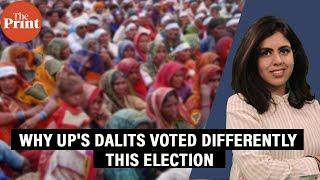 How Dalit vote enabled Samajwadi Party’s spectacular Lok Sabha performance in Uttar Pradesh