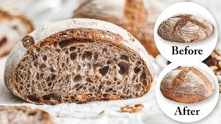 Whole Wheat Walnut & Cranberry Bread; How to Achieve Soft, Airy Structure with Freshly Ground Flour