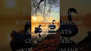 Есть две вещи, которые родители должны дать своим детям: корни и крылья #love #energy #shorts