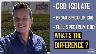 What are the differences between CBD Isolate, Broad Spectrum CBD, and Full Spectrum CBD ?