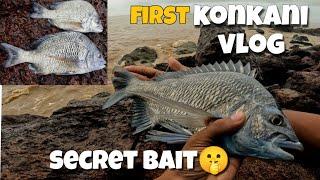 I caught Breams on bait | Monsoon season | Fishing in goa