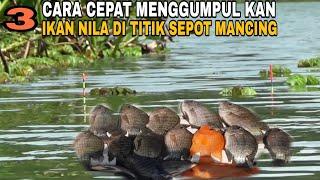 Begini Cara Saya Mancing Nila Agar Selalu Dapat Banyak || MANCING NILA LIAR