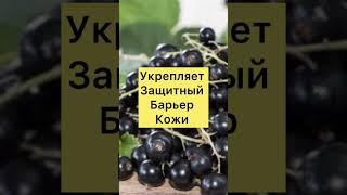 ЕШЬ И МОЛОДЕЙ! Какие ПРОДУКТЫ ЗАМЕДЛЯЮТ ПРОЦЕССЫ СТАРЕНИЯ?