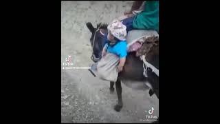 Кечки сайр