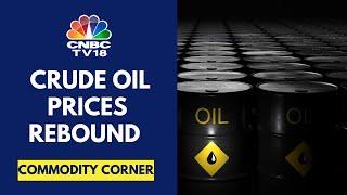 Crude Oil Prices Rebound From Lows After US Pres Trump Repeals 2023 Memo Delays Imposing New Tariffs