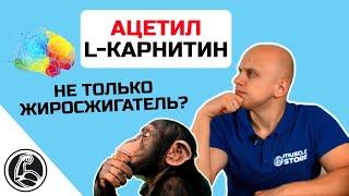 Ацетил L-карнитин, чем лучше обычного? Польза для мозга