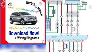 Free Wiring Diagram & Work Shop Manual's..www.carpdfmanual.com..Mechanical & Electrical..️