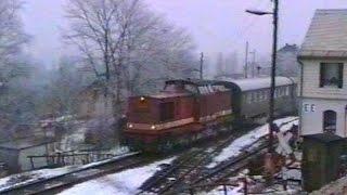 Reichsbahn V100 mit Personenzug mit Güterbeförderung in Cranzahl | 26.01.1991