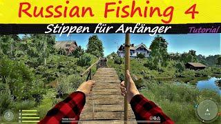 Russian Fishing 4 - Tutorial - Stippen für Anfänger - Moskitosee - Spots - Tipps Tricks und Set Up