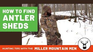 How To Find Antler Sheds In The Snow | Hunting Tips With The Miller Mountain Men