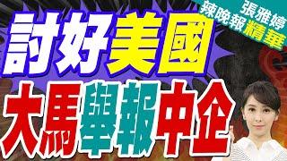 馬來西亞向白宮舉報中企 攜帶數據赴馬租用英偉達伺服器 訓練AI模型｜討好美國 大馬舉報中企｜介文汲.栗正傑.李永萍深度剖析?【張雅婷辣晚報】精華版  @中天新聞CtiNews