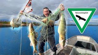 Wir finden FISCHERNETZE in NATURSCHUTZGEBIET