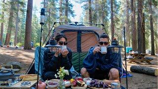 Wild Gazelle Encounter in the Heart of Nature! Camping Among Giants trees