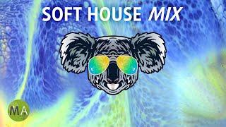 Upbeat Study Music Soft House Mix - Peak Focus Beta Isochronic Tones