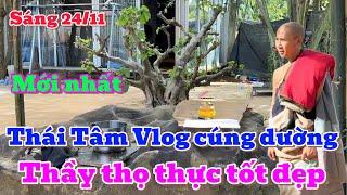 Sáng 24/11, Mới nhất - Hữu duyên Thái Tâm Vlog cúng dường, Thầy đã thọ thực tốt đẹp.