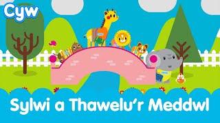 Cân Sylwi a Thawelu'r Meddwl | Welsh Children's Mindfulness Calm Breathing Song S4C