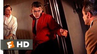 Rebel Without a Cause (1955) - Stand Up For Me! Scene (8/10) | Movieclips