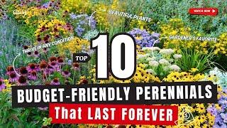 Top 10 Budget-Friendly Perennials That LAST FOREVER  // Gardening Ideas