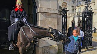 NOTORIOUS NIPPER ORMONDE is back! Tourists are shocked and surprised at Horse Guards!