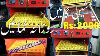 Earn 2000 Daily | Automatic Incubator of 56 Eggs Available at Nishaman Traders Lahore