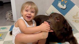 Baby Gets Adorable Kisses from His Dog!