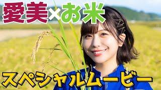 愛美とお米のスペシャルムービー！田植え〜稲刈りまで全部見せます【OKOMAISON一周年記念】