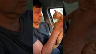 Бездомный котенок Гарфилд: История спасения и новый дом